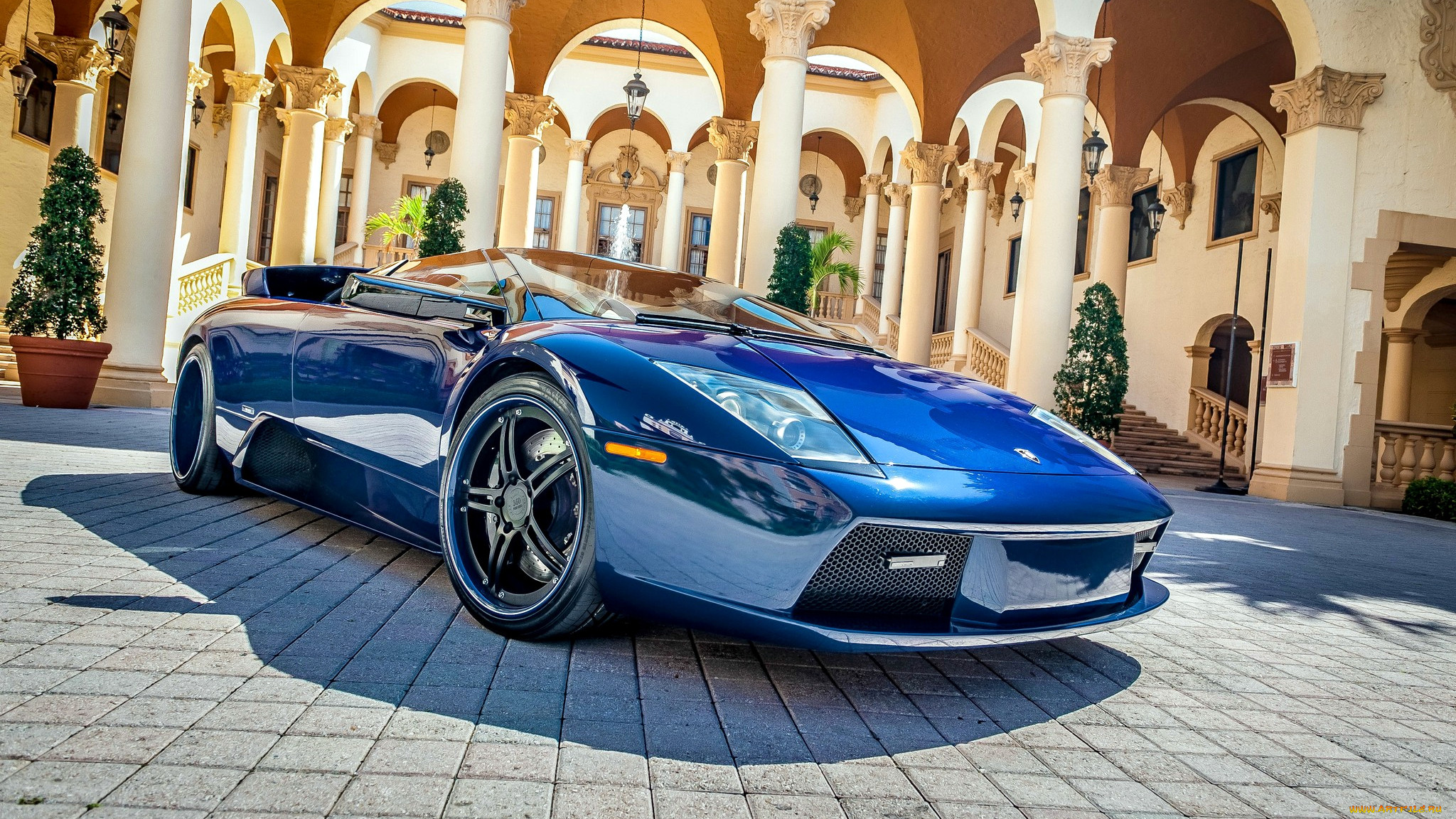 lamborghini murcielago, , lamborghini, p, s, holding, automobili, , , -, a